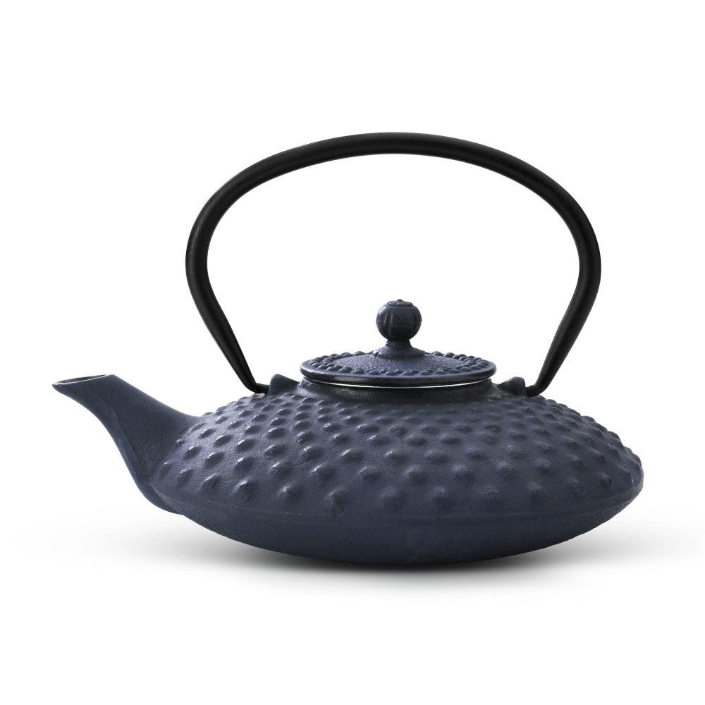 Bredemeijer Teapot Xilin Design Cast Iron 0.8L in Blue With Stainless Steel Fine Mesh Filter