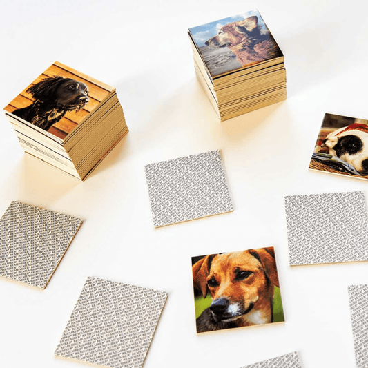 Remember Family Games Matching Pairs Pelmanism Memory Game Dogs In A Gift Box